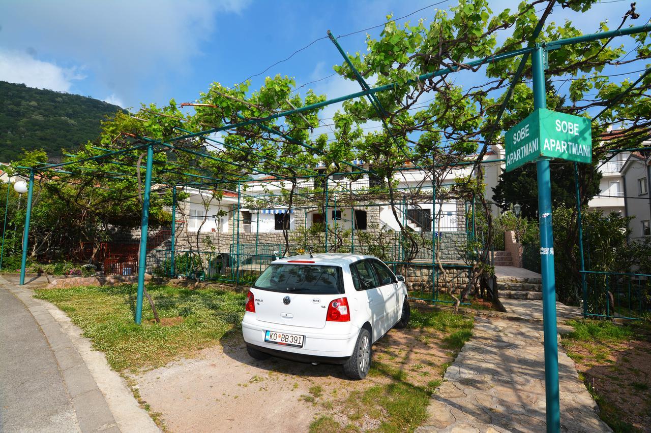 Apartments Jovana Petrovac 外观 照片